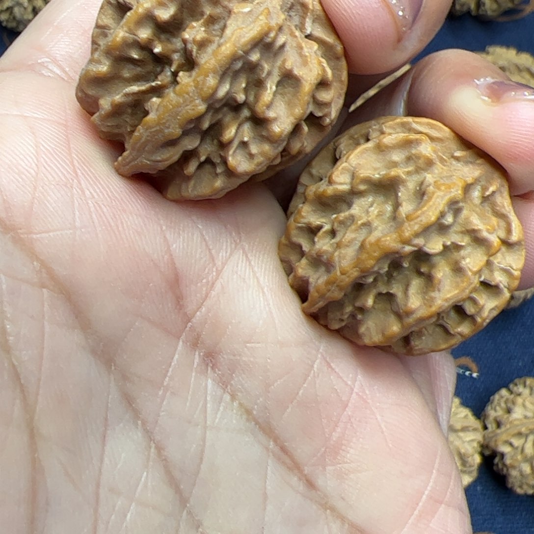 文玩核桃把件秦岭野生植物核桃