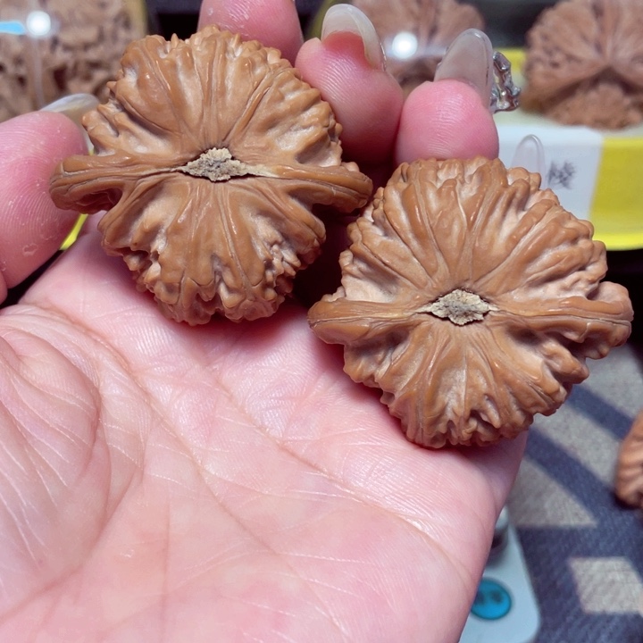 文玩核桃把件白狮子45