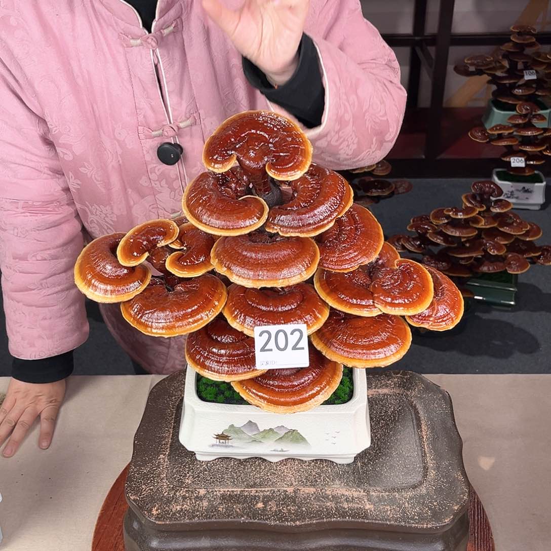 万事如意88888202