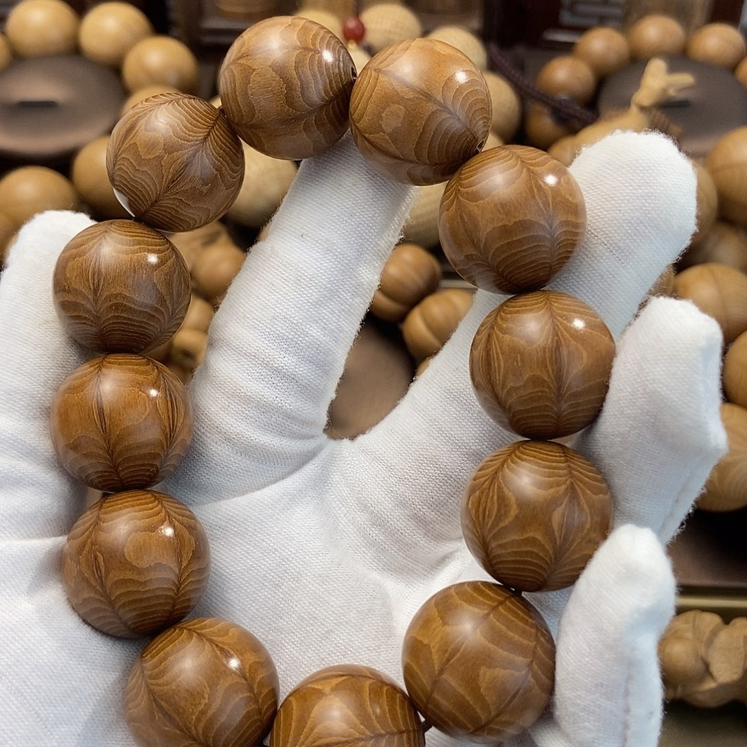 阿***7六道木山西五台山