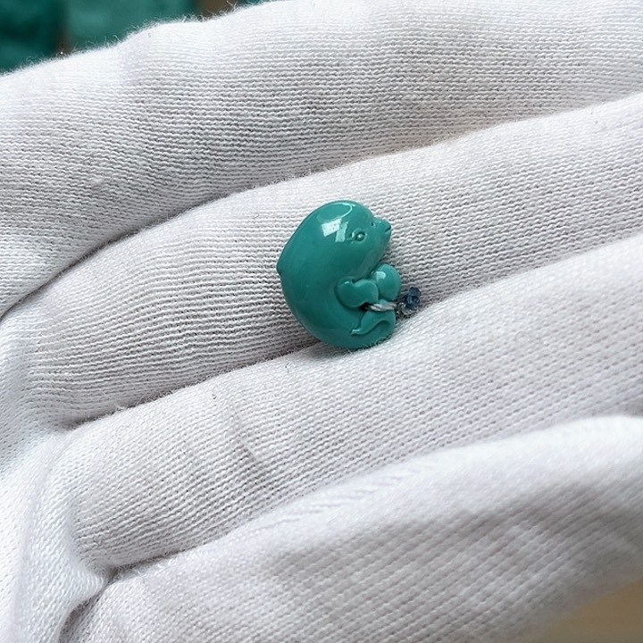 绿松石珠宝未镶嵌