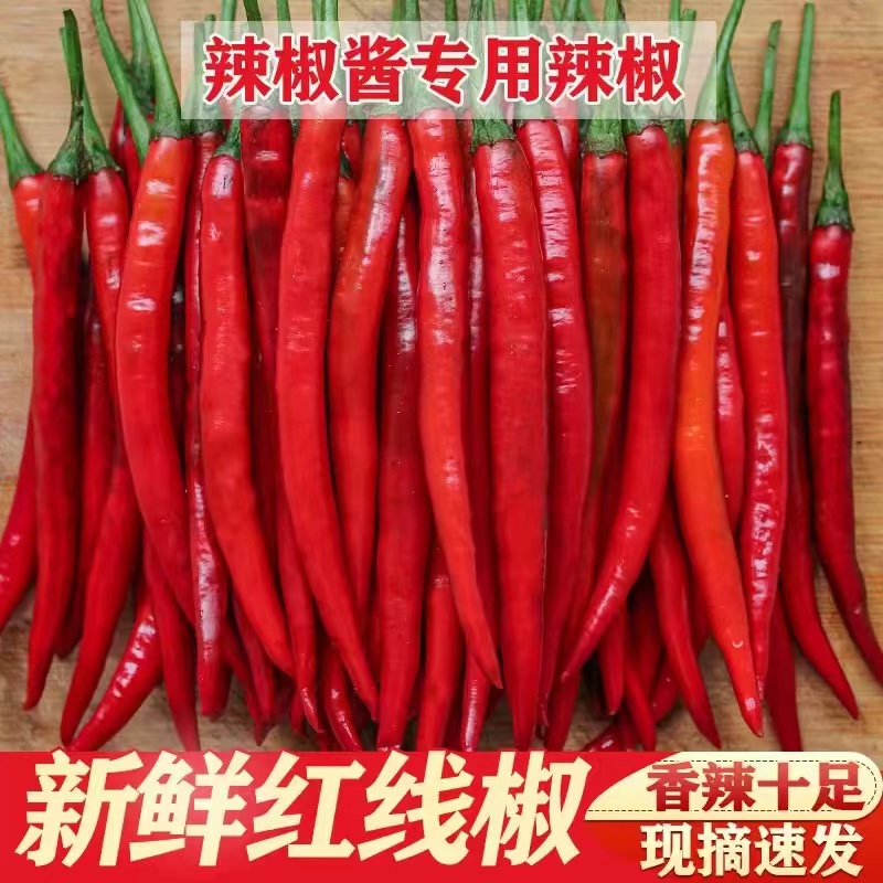 现摘红线椒新鲜红二荆条红辣椒农家自种泡椒剁椒红辣椒