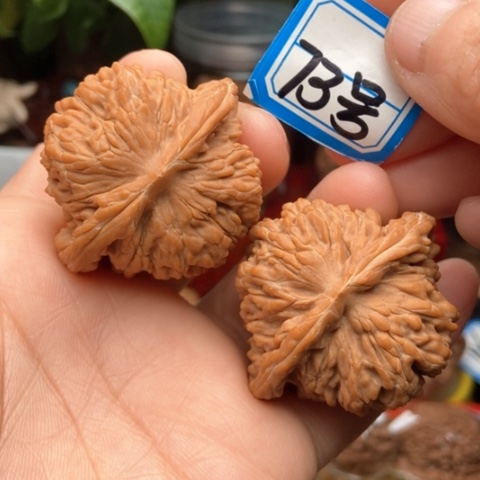 文玩核桃吊坠用****3蓟县楼44全品