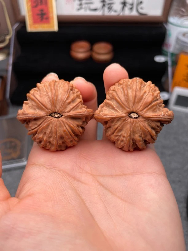 全品磨盘矮桩43尺福利价