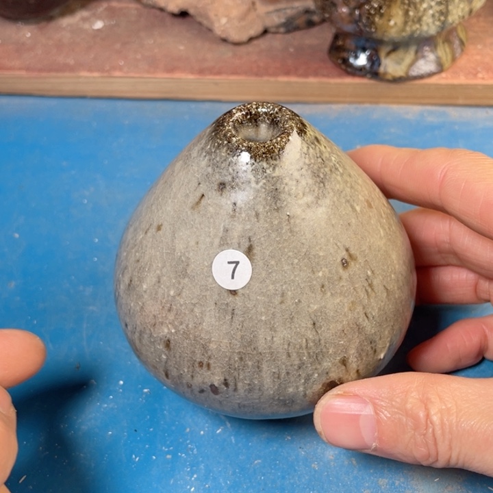 茶宠盏盏灯都是我的爱啊我