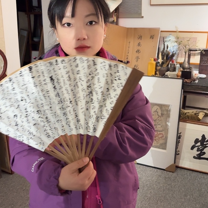 国画杨*胜手绘作品扇子