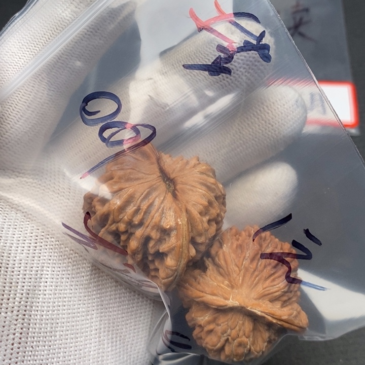 手串/手链橄榄核文玩核桃四座楼