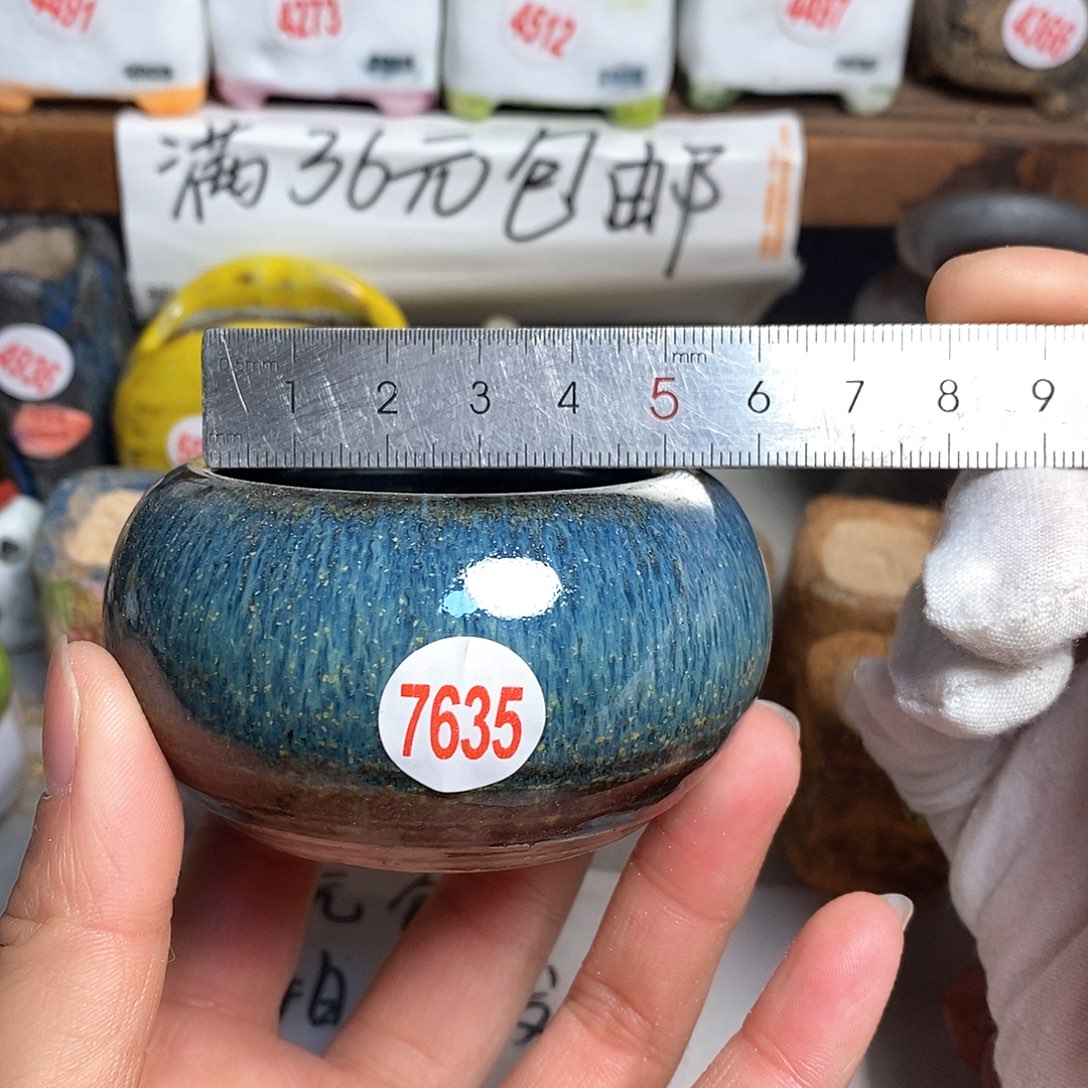 红陶拍5送一个小