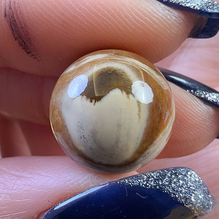 蜜蜡颈饰未镶嵌蜜蜡