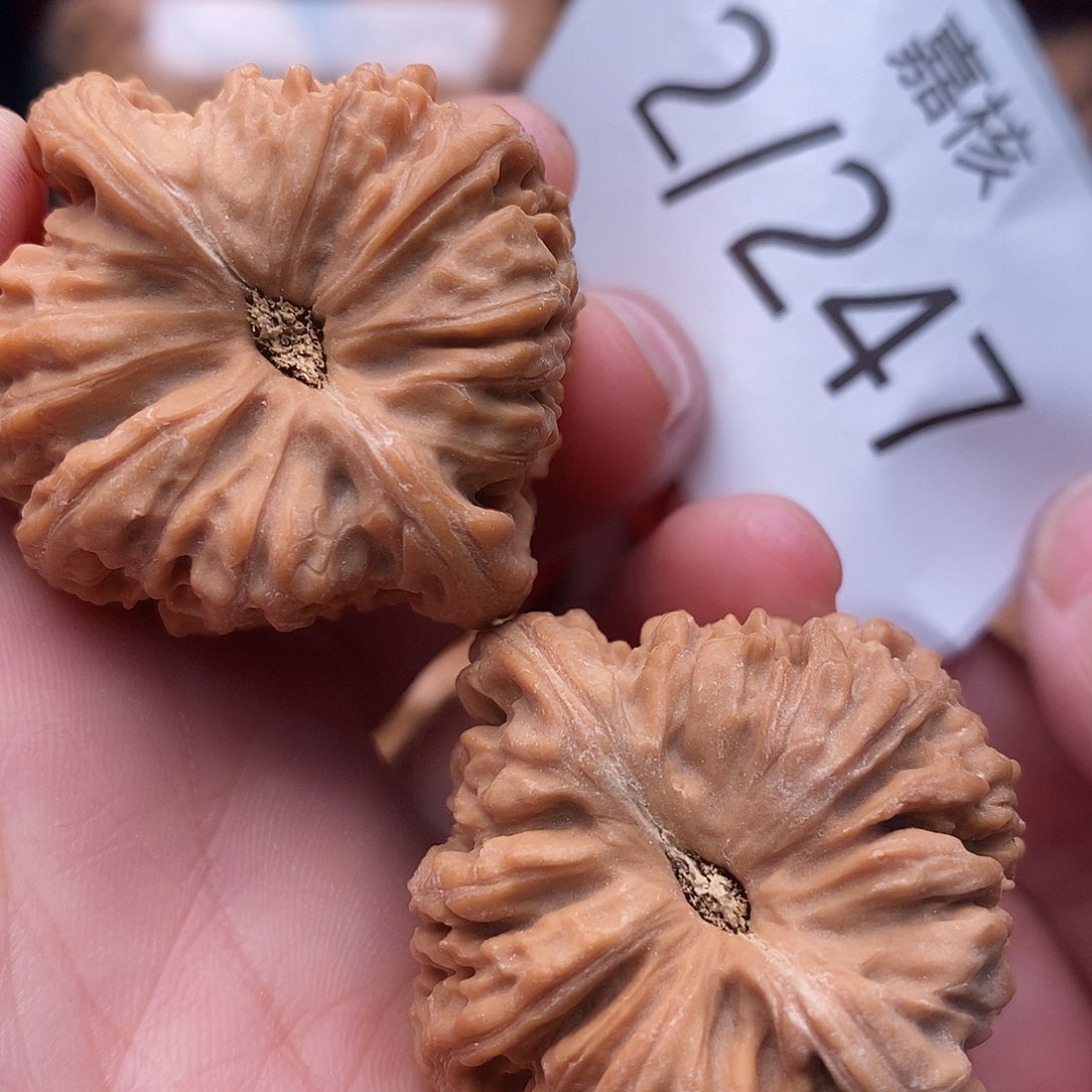 文玩核桃把件39全品逐鹿n j s