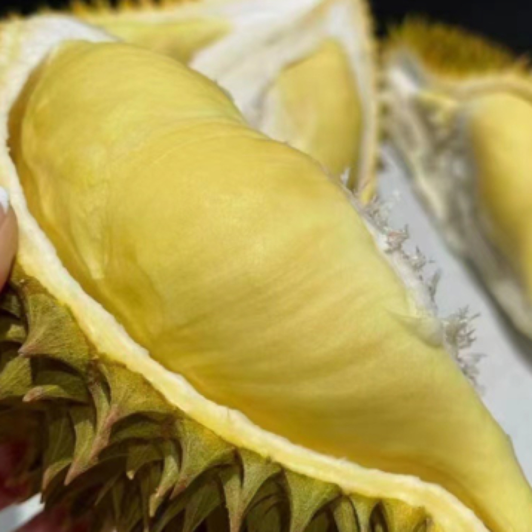 【树熟金枕鲜榴莲】核小3-7斤/一物一拍/默认剥皮/整果带走不包售后/介意慎拍金枕泰国越南