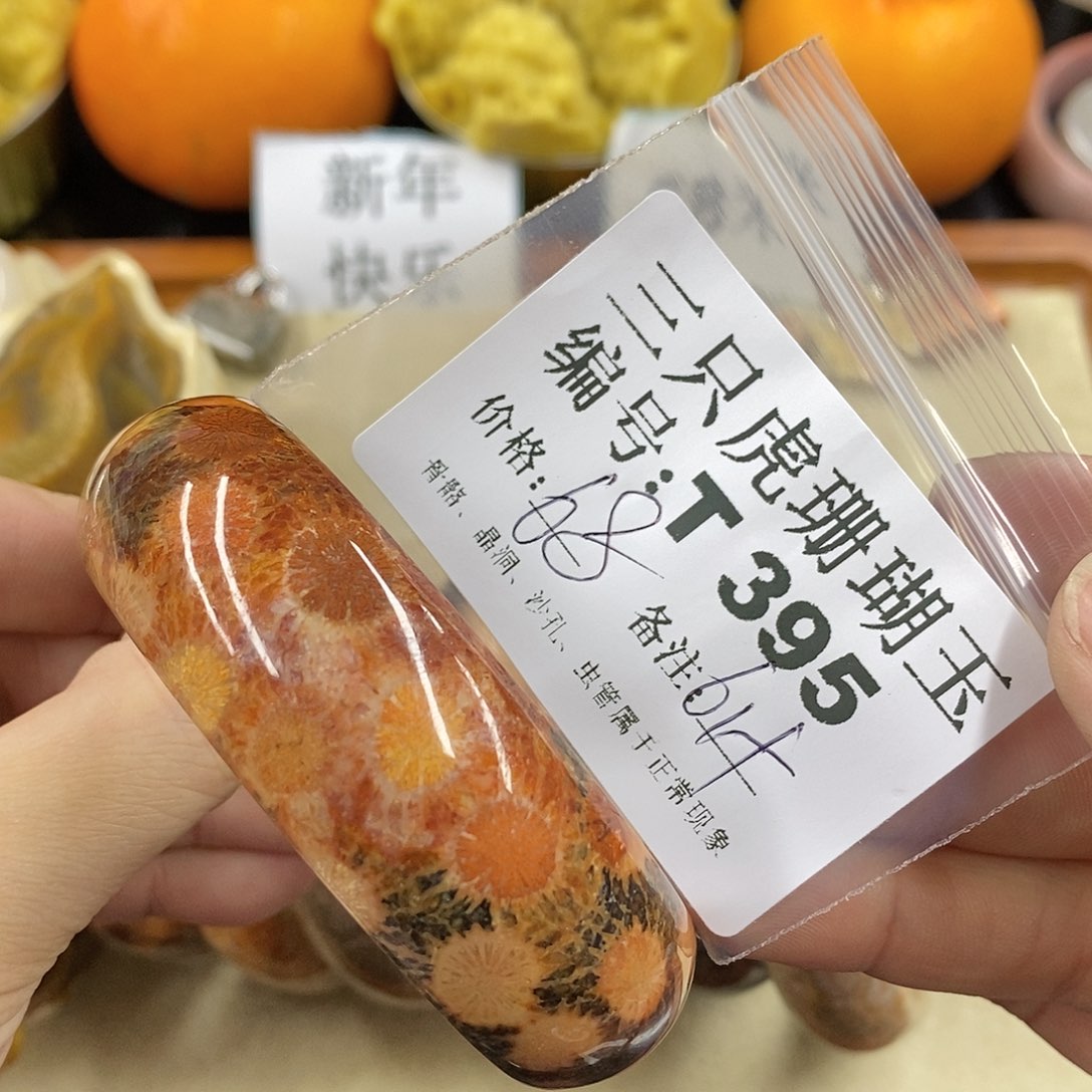 硅化珊瑚（珊瑚玉）1未镶嵌柠**•