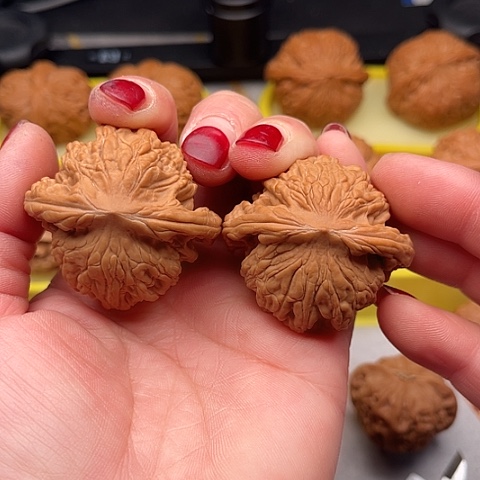 文玩核桃把件至尊虎全品43