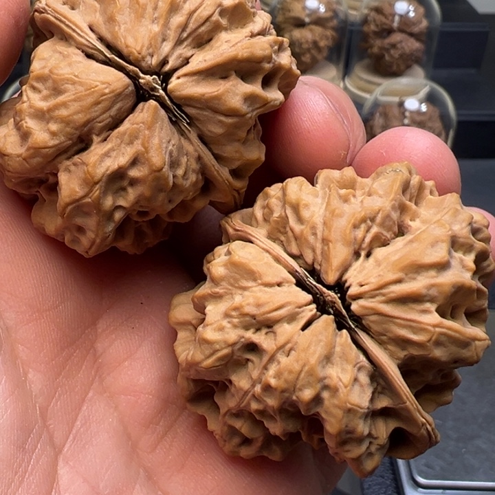 文玩核桃把件天魔古蟾45mm