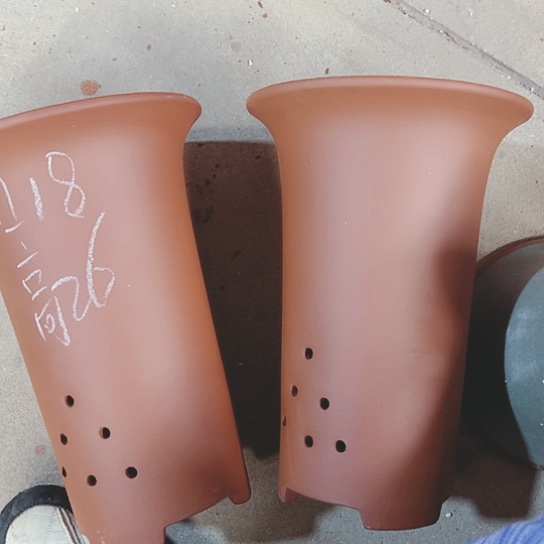 红陶紫砂紫砂小时