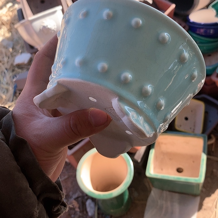 紫砂没有那么好吃我的人生