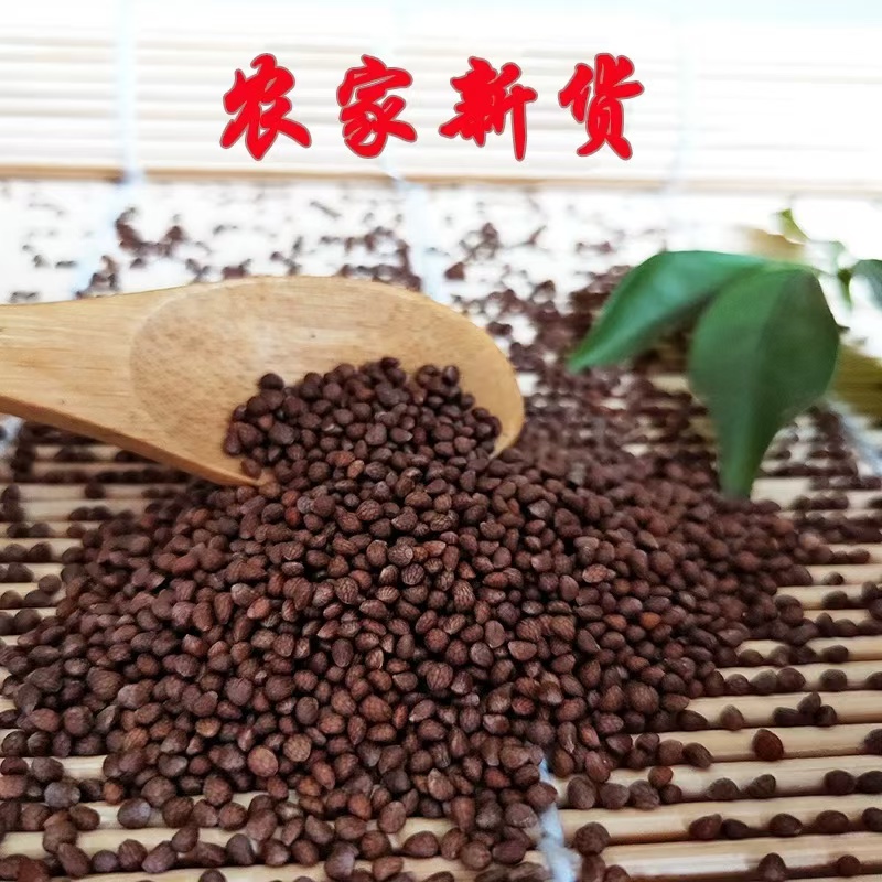 【福利】葱妹 2025年新粮 熟紫苏籽 500g*1袋