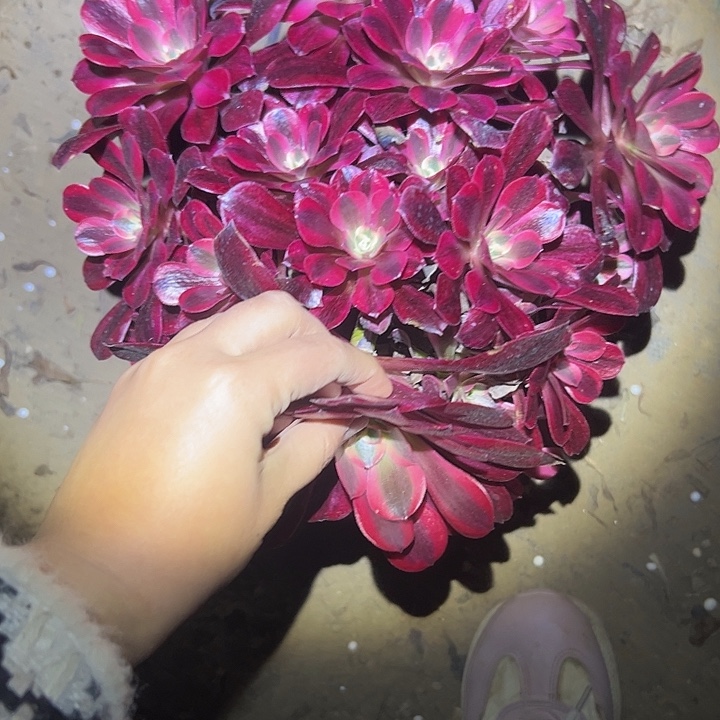 法师一物一拍链接46