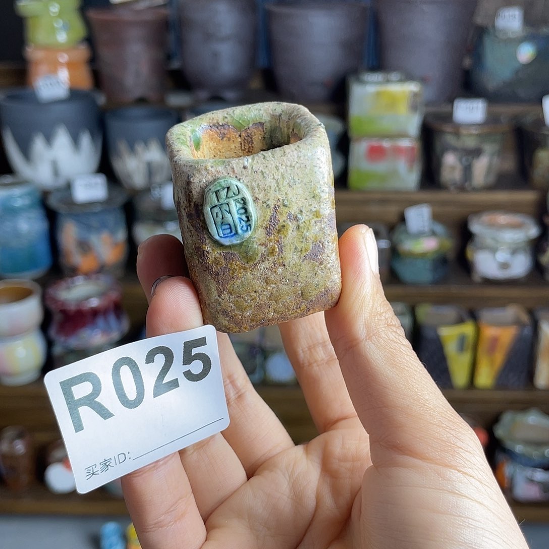 小白孤品 匣钵土内口2.5百搭