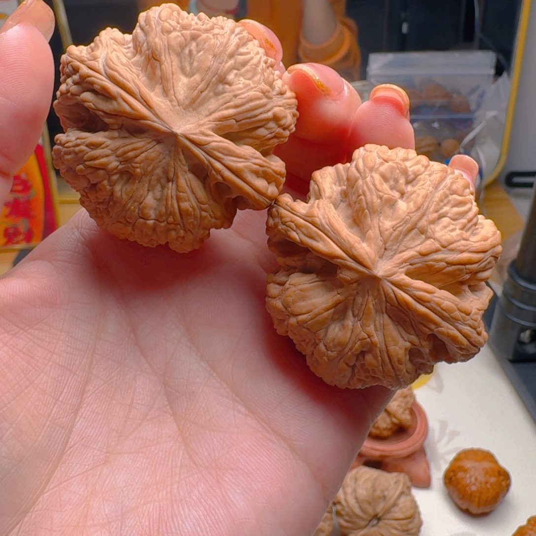 核桃把件45尺寸粗筋