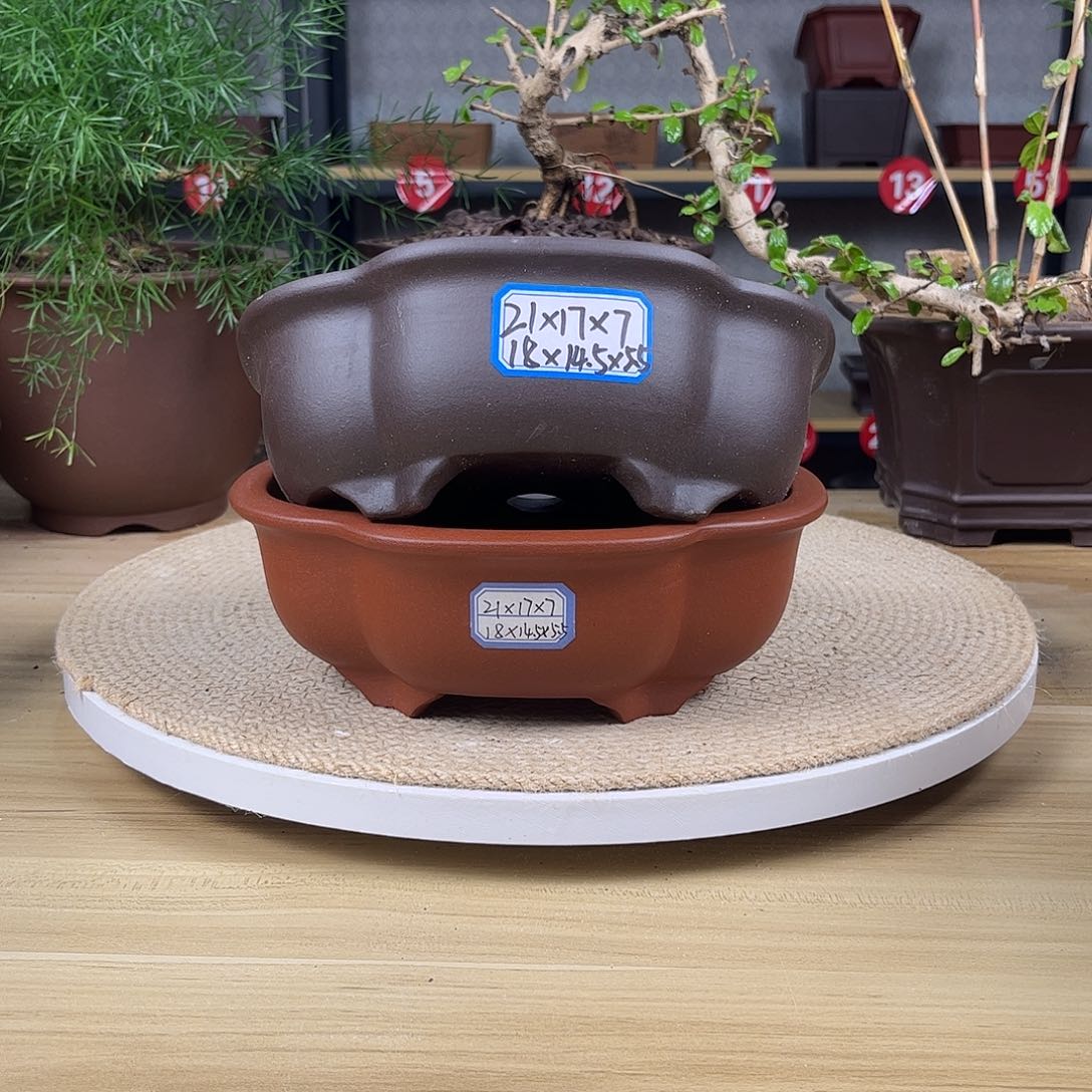 紫砂花盆紫砂花盆