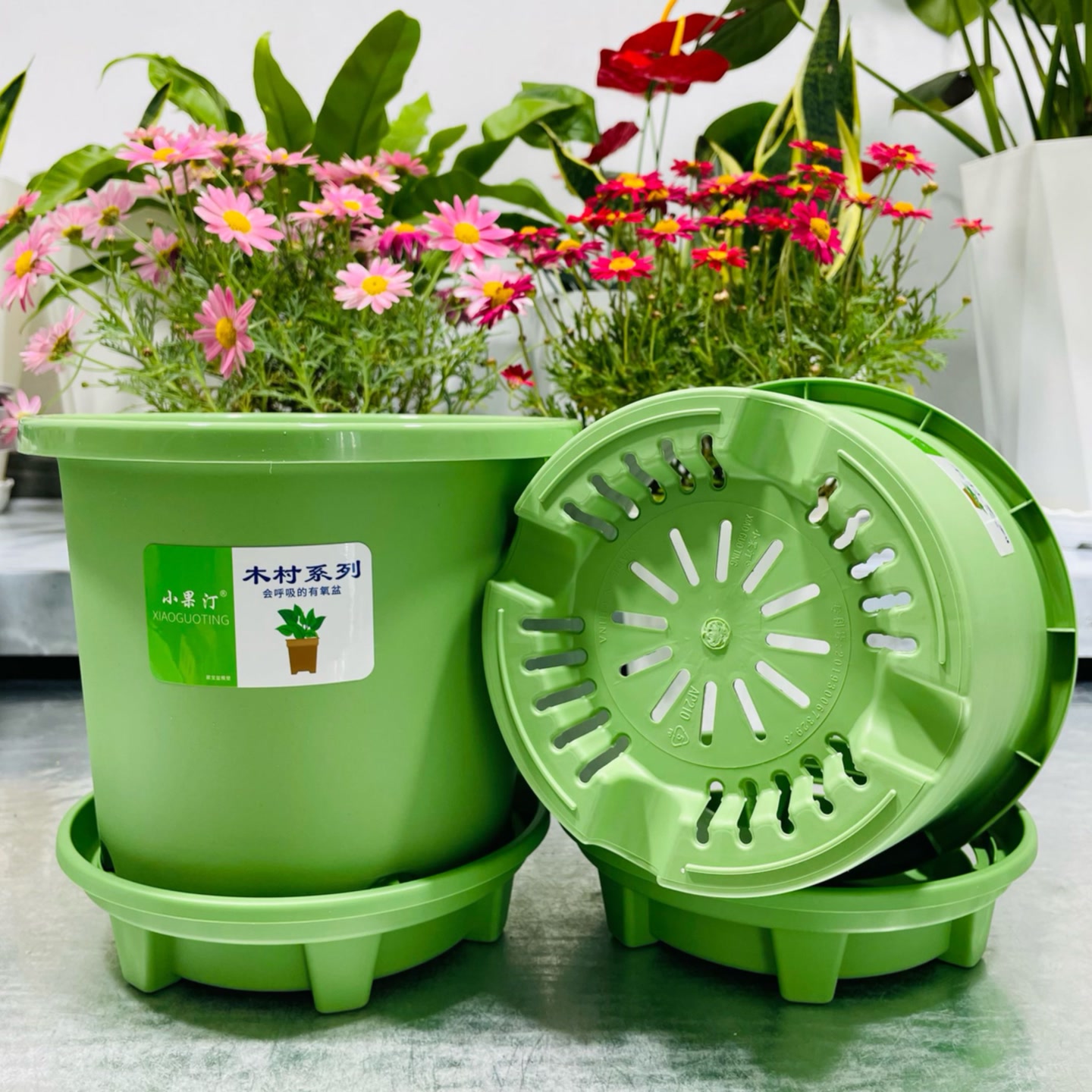 （2个带托盘）210草绿色小果汀树脂花盆>口径20.5厘米高17