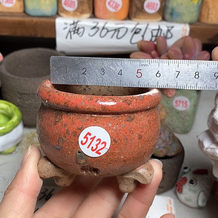 红陶拍5送一个小