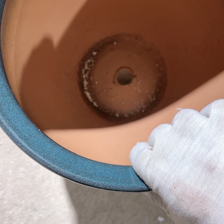 红陶口径27高度31一只小瑕疵