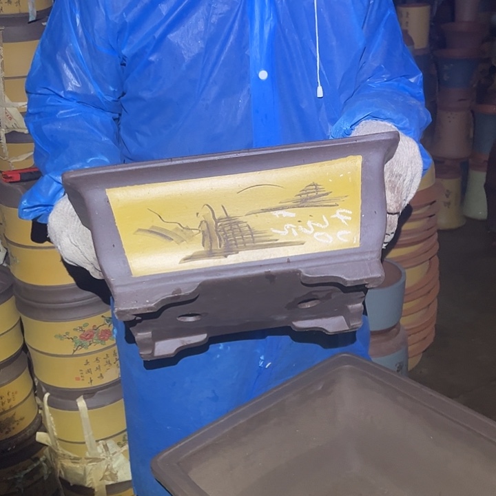 紫砂紫砂花盆和一条