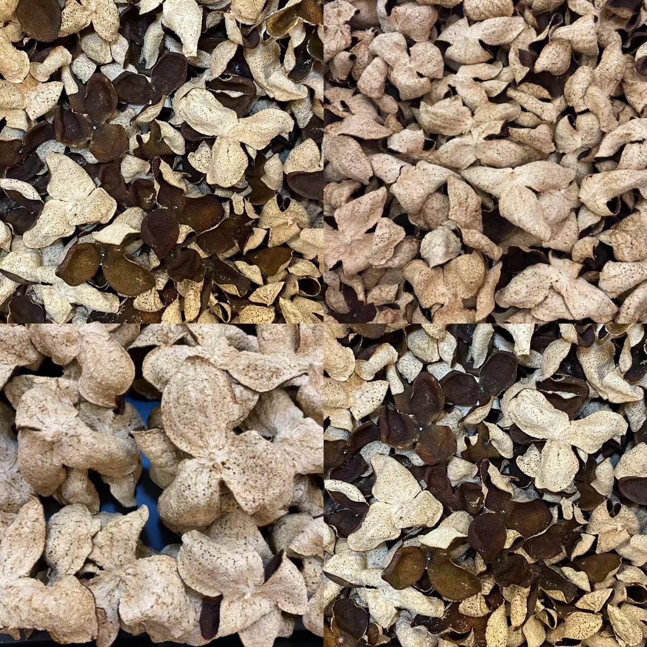 【冬后皮】250克 东甲冬后皮 陈皮 