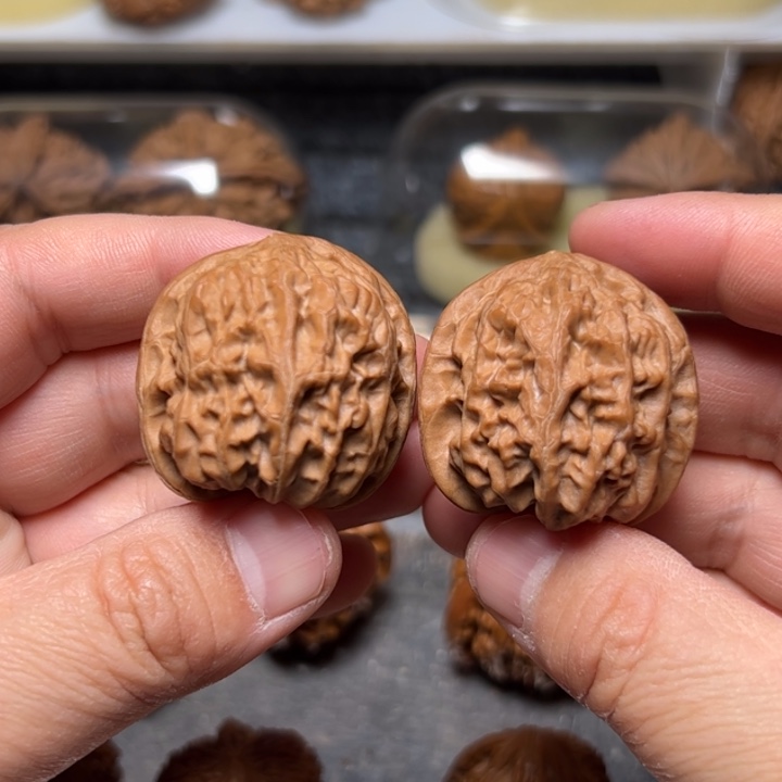 文玩核桃把件35 太行元宝