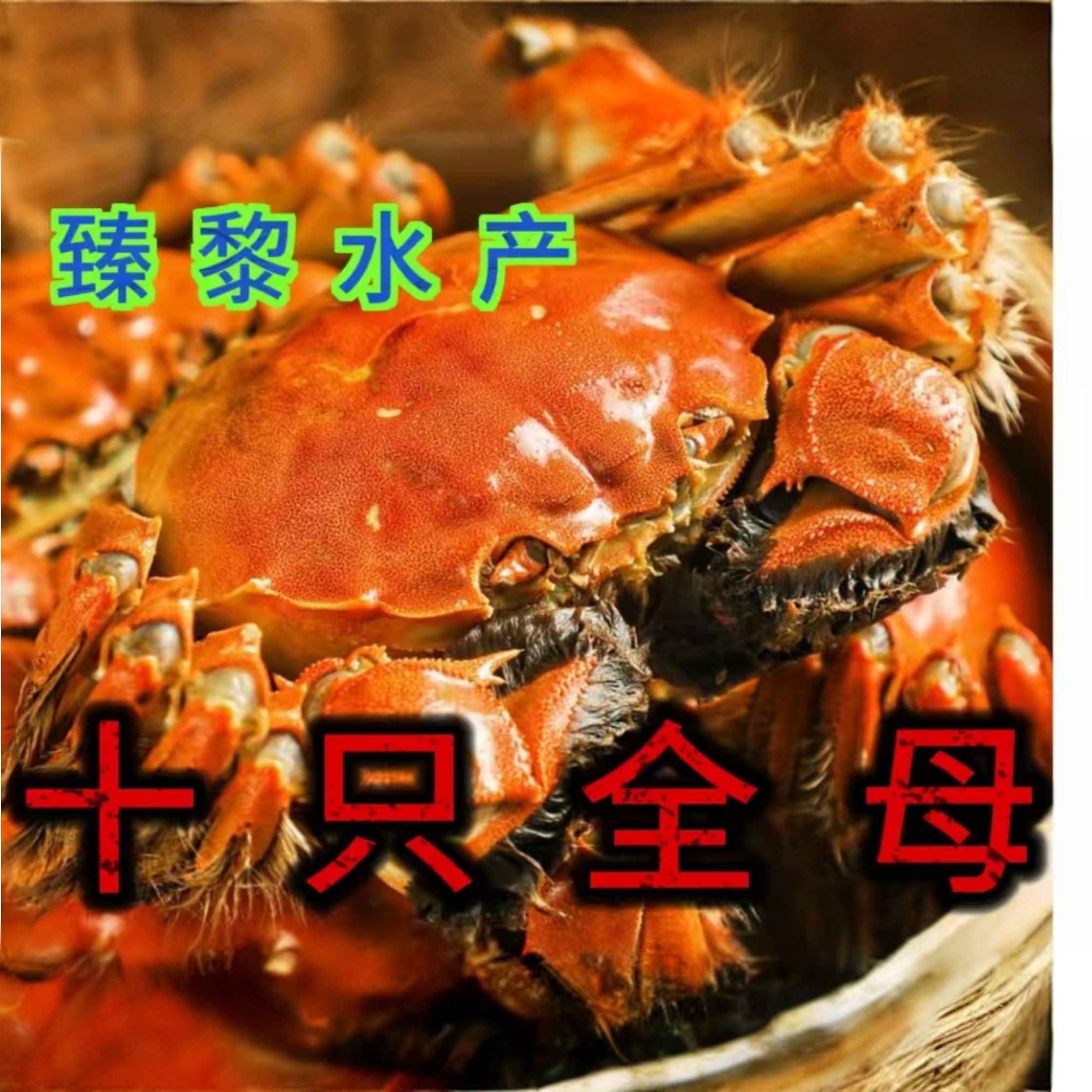 【活蟹】大闸蟹母蟹3.8-4.1两 10只