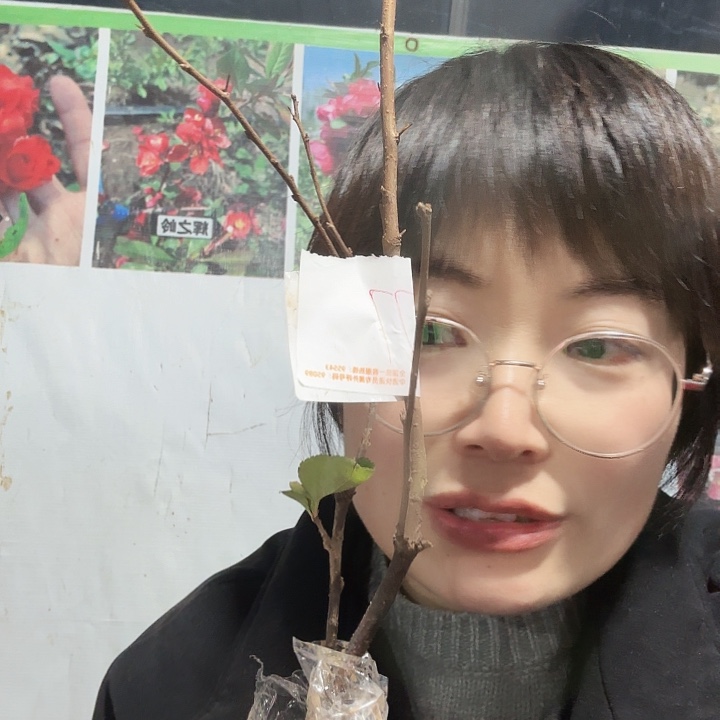 拉***王无花朵金池垫一棵
