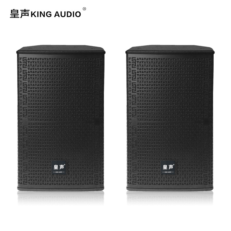皇声V10家庭ktv音响唱歌高端娱乐音响10寸音响450W