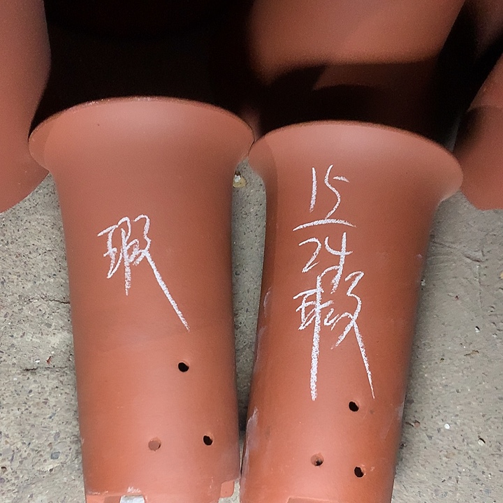 花盆紫砂紫砂的颜色很好看呀