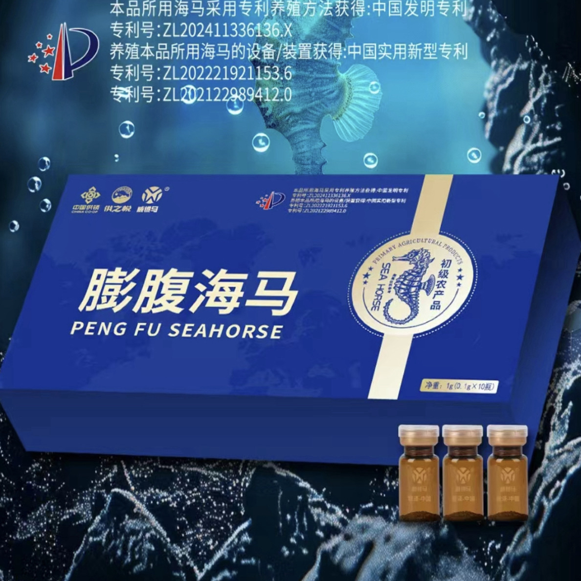 膨腹海马开启品质生活（2+黑）
