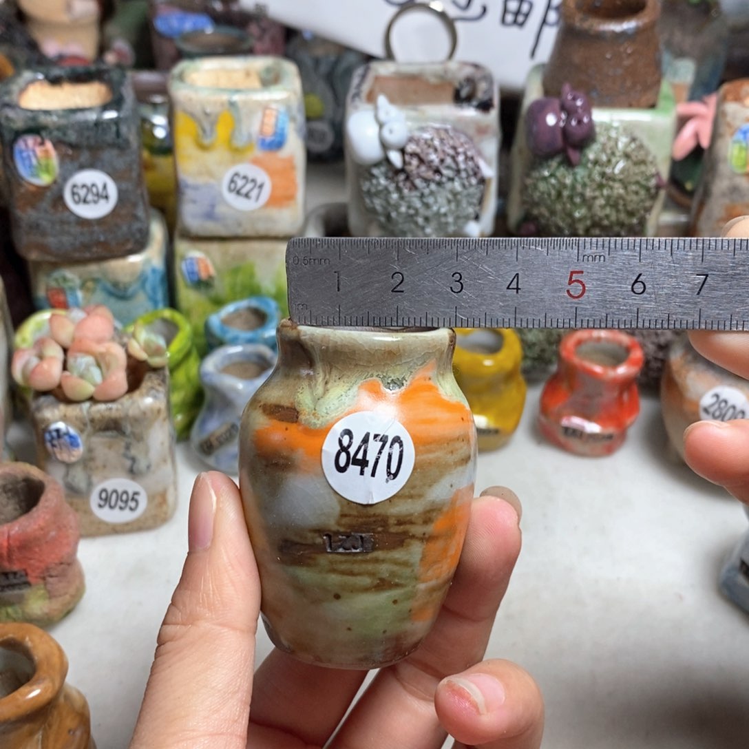 拍5送一个小礼物