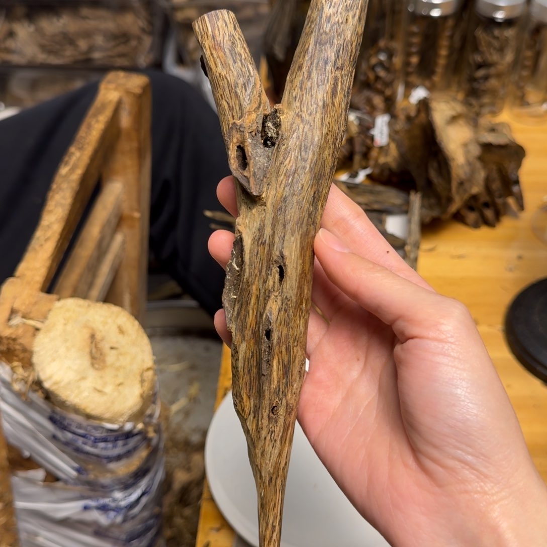 沉香沉香碎屑白棋天然虫漏块料60克