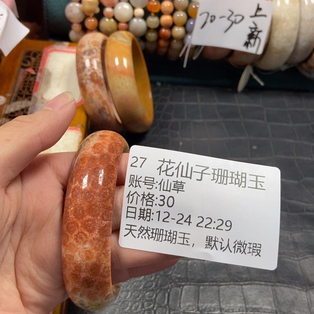 仙***草硅化珊瑚（珊瑚玉）未镶嵌珠宝半成品27