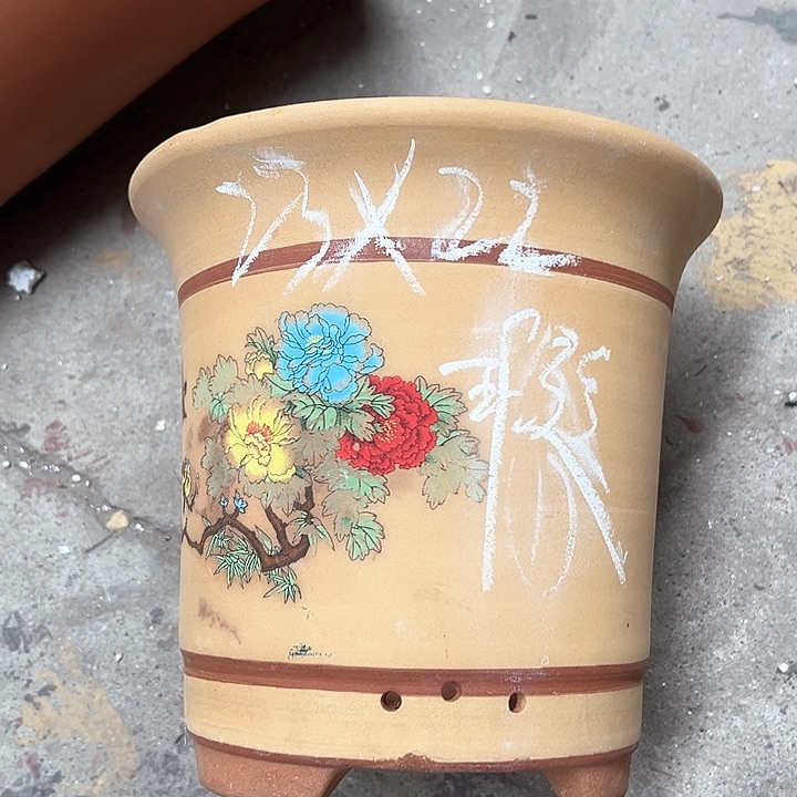 紫砂紫砂紫砂紫砂