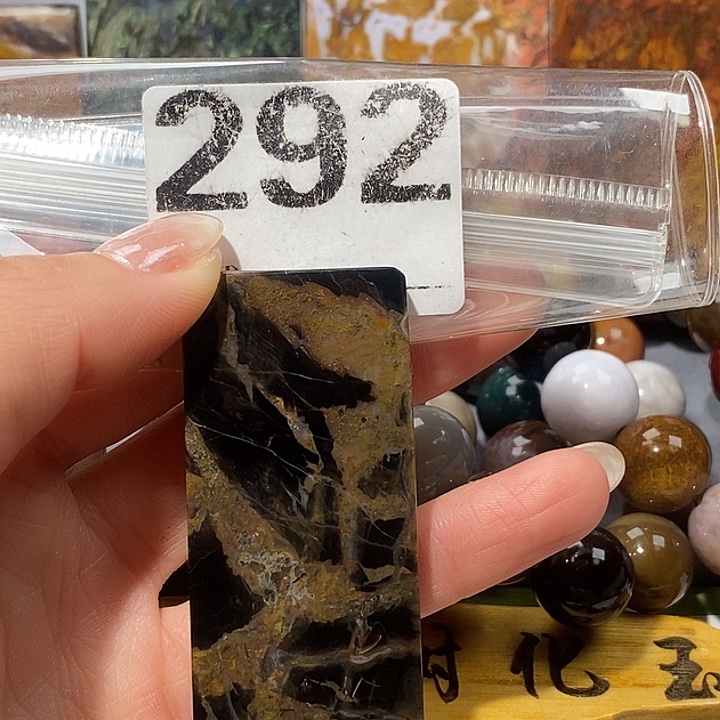 硅化玉未镶嵌天然北票树化玉吊坠