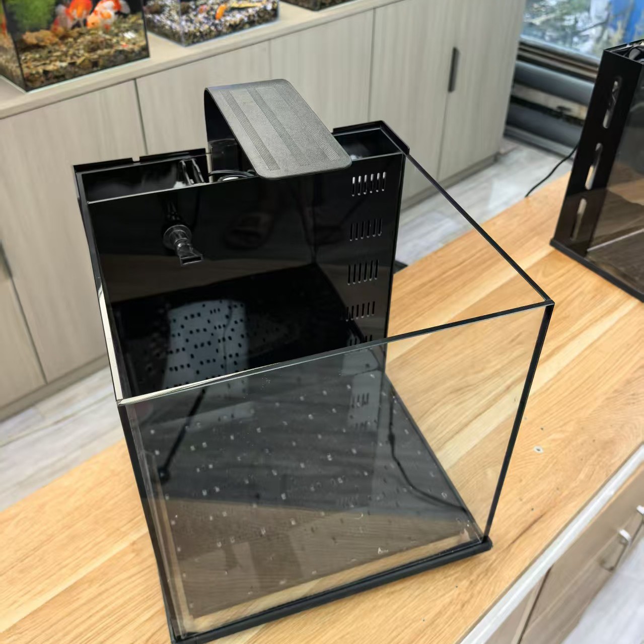 小型超白玻璃侧滤制氧自循环生态鱼缸适合客厅办公室家