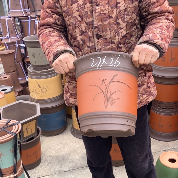 紫砂花盆盆栽花卉苗木种植