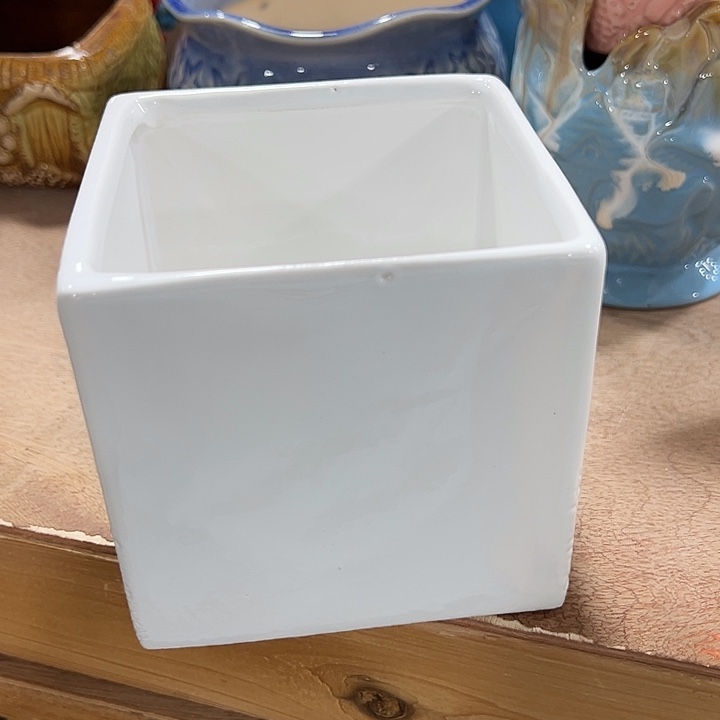 口径不清楚问客服满9元包邮水培