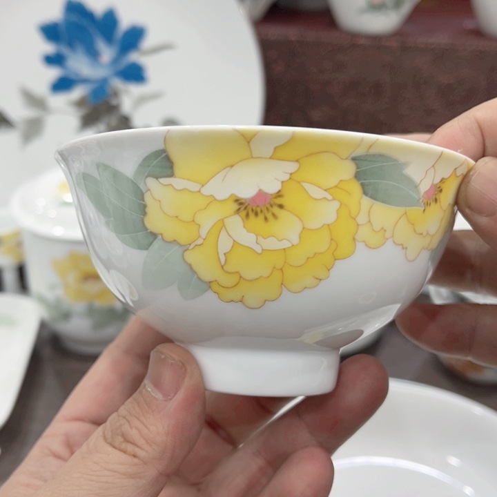 壶釉下五彩的瓷器和瓷器