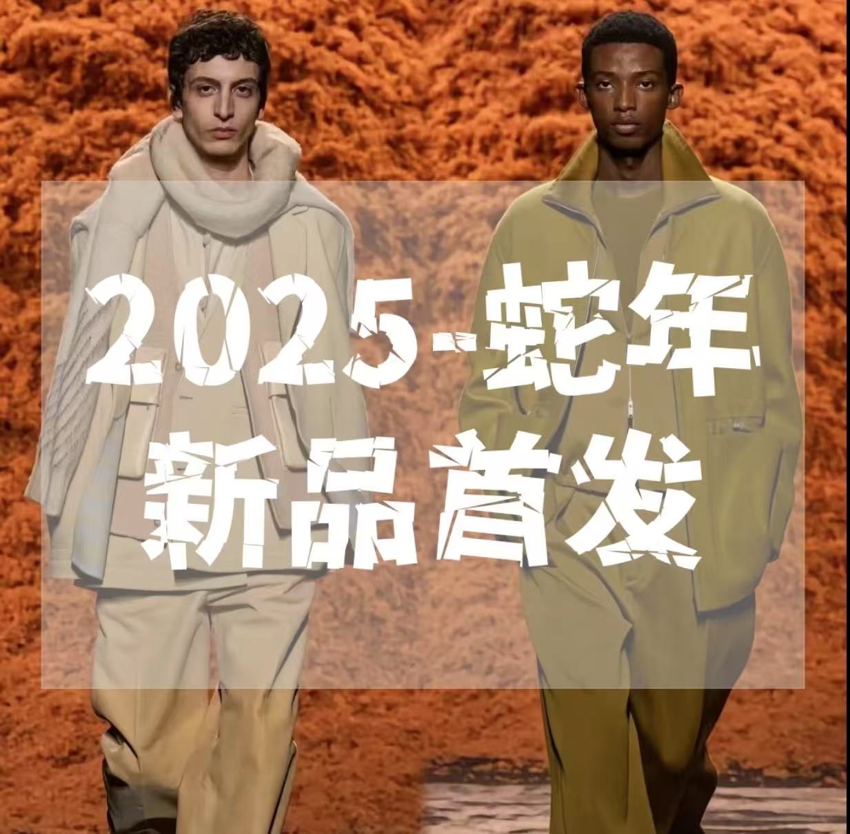 冬季设计师Cleanfit百搭老花羽绒服外套Y005