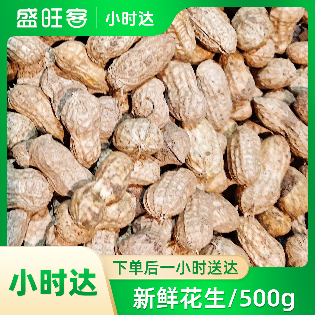 新鲜花生/500g/1斤本地花生