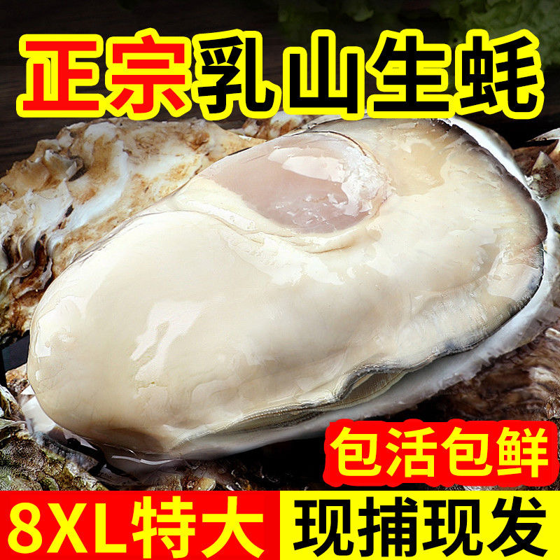 【待开价】金标乳山生蚝顺丰包邮