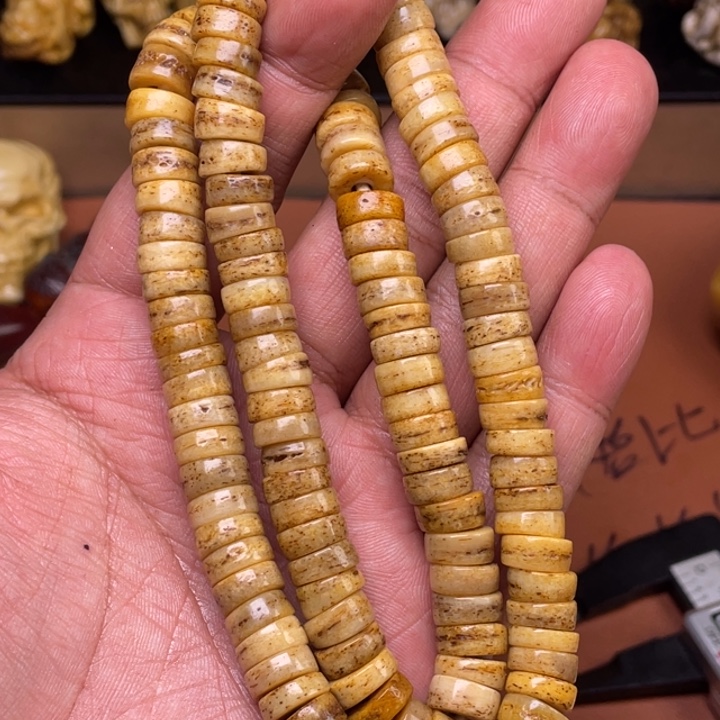 驼骨其他人工养殖