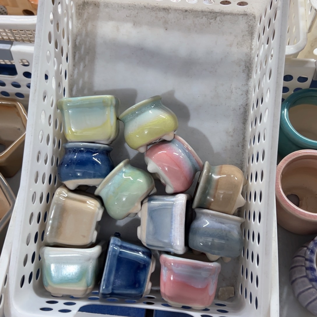 陶瓷多肉小花盆@@1986